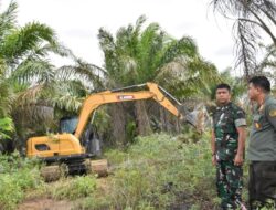 Danrem 031/Wira Bima pantau lansung kegiatan penumbangan sawit +-400 an Ha di kawasan TNTN yang telah diserahkan untuk di hijaukan kembali (Reforestasi)