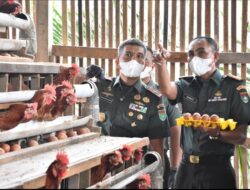 Danrem 031/WB Yakinkan Yonif 132/BS dan Kodim 0313/ Kampar Ikut Serta Mendukung Program ketahanan Pangan Nasional