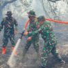 Turun ke Lapangan, Asops Kasdam Komandoi Pemadaman Karhutla di Lahan Gambut
