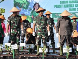 Peringatan HUT Persit KCK ke-80, Danrem 031/WB Dampingi Pangdam XIX/ TT Laksanakan Penanaman Mangrove di Bengkalis