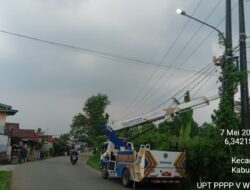 Perbaikan Lampu PJU Jalur Kecamatan Tenjo yang Padam dan Normalisasi Jaringan