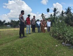 Kapolsek Cerenti Cek Lahan 6 Hektare untuk Dukung Ketahanan Pangan Nasional
