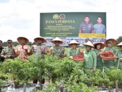 Danrem 031/WB Laksanakan Panen Raya Cabai di Kebun Yonif 132/BS sebagai Wujud Nyata Dukungan TNI terhadap Program Ketahanan Pangan Nasional