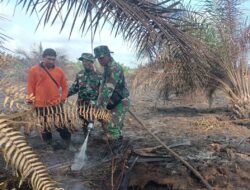 Kodam XIX/Tuanku Tambusai Terus Berjibaku Padamkan Karhutla di Rengat, 2,4 Hektare Lahan Berhasil Diamankan