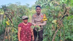 Bhabinkamtibmas Kelayang Perkuat Kedekatan dengan Warga, Dukung Ketahanan Pangan dan Jaga Kamtibmas Tetap Kondusif