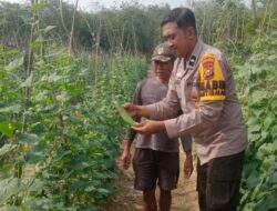 Bhabinkamtibmas Polsek Kelayang Aktif Sambangi Warga, Dukung Ketahanan Pangan dan Perkuat Kamtibmas di Desa Talang Perigi
