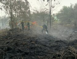 Sinergi TNI-Polri dan Tim Gabungan Bergerak Cepat Atasi Kebakaran Hutan dan Lahan di Rimba Panjang