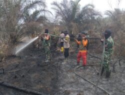 Karhutla Bakar 2 Hektare Lahan, Kodam XIX Tuanku Tambusai Perkuat Pemadaman