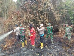 Kodam XIX/Tuanku Tambusai Jaga Lahan Tetap Terkendali, Tim Gabungan Tangani Karhutla Bengkalis–Meranti