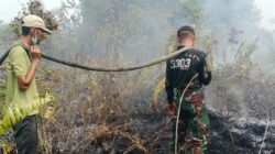 Kodam XIX/Tuanku Tambusai Hadapi Karhutla Gambut, Pemadaman Terus Diperkuat di 8 Titik