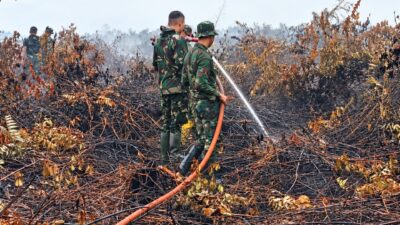 Kodam XIX/Tuanku Tambusai Terus Tangani Karhutla Inhu, Pendinginan Difokuskan di Titik Asap